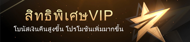 เข้าร่วมโปรแกรม VIP