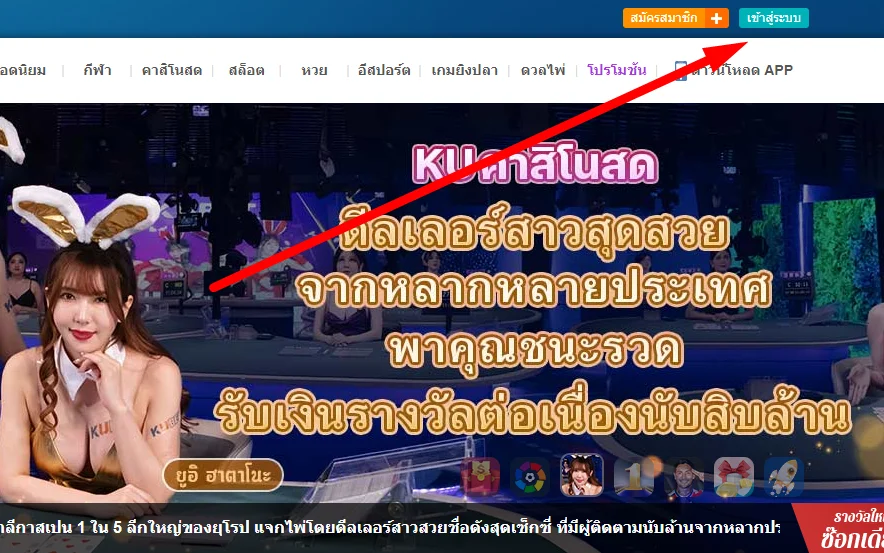 เข้าสู่ระบบและรหัสผ่าน